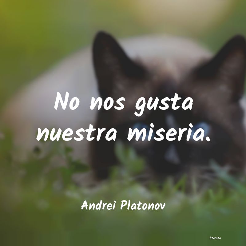 Frases de Andrei Platonov