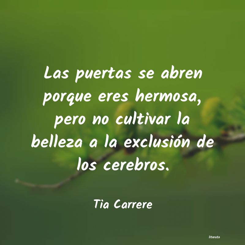 frases de Tia Carrere