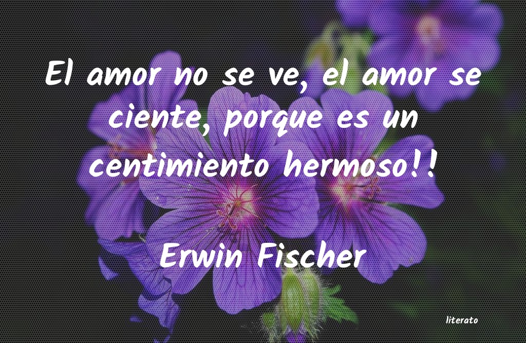 frases de Erwin Fischer