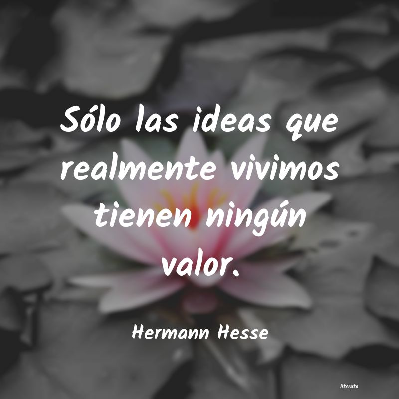 frases de Hermann Hesse