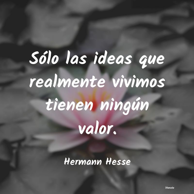 frases de hermann hesse