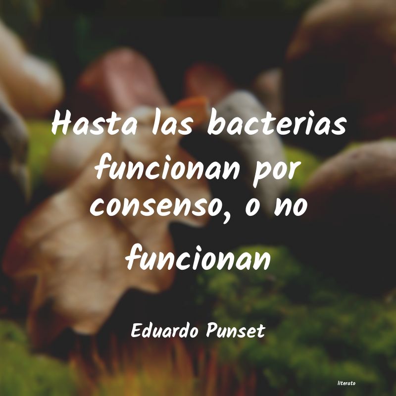 Frases de Eduardo Punset