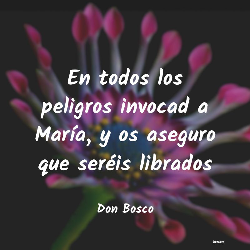 Frases de Don Bosco