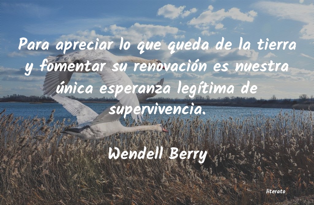 Frases de Wendell Berry
