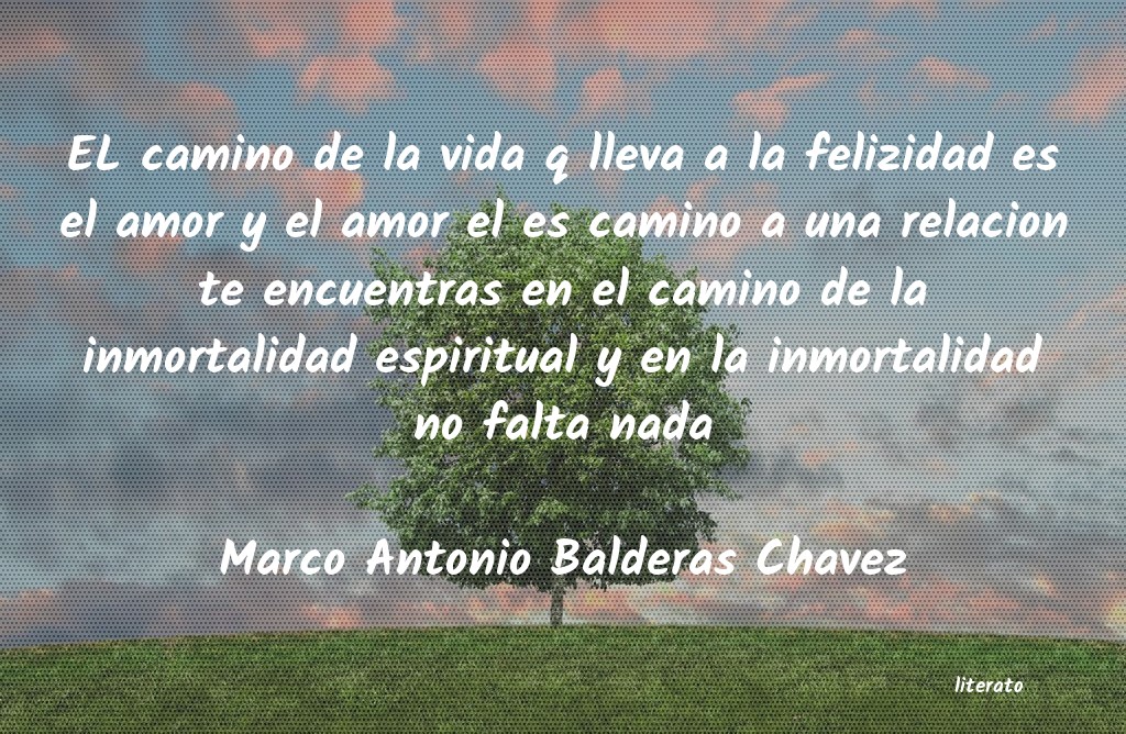 frases de Marco Antonio Balderas Chavez