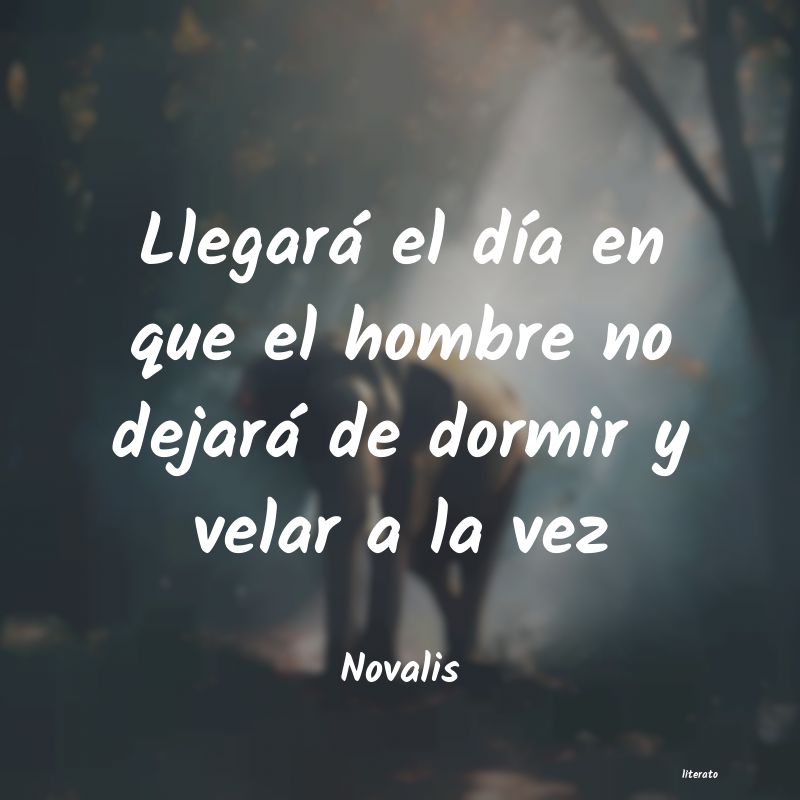 Frases de Novalis