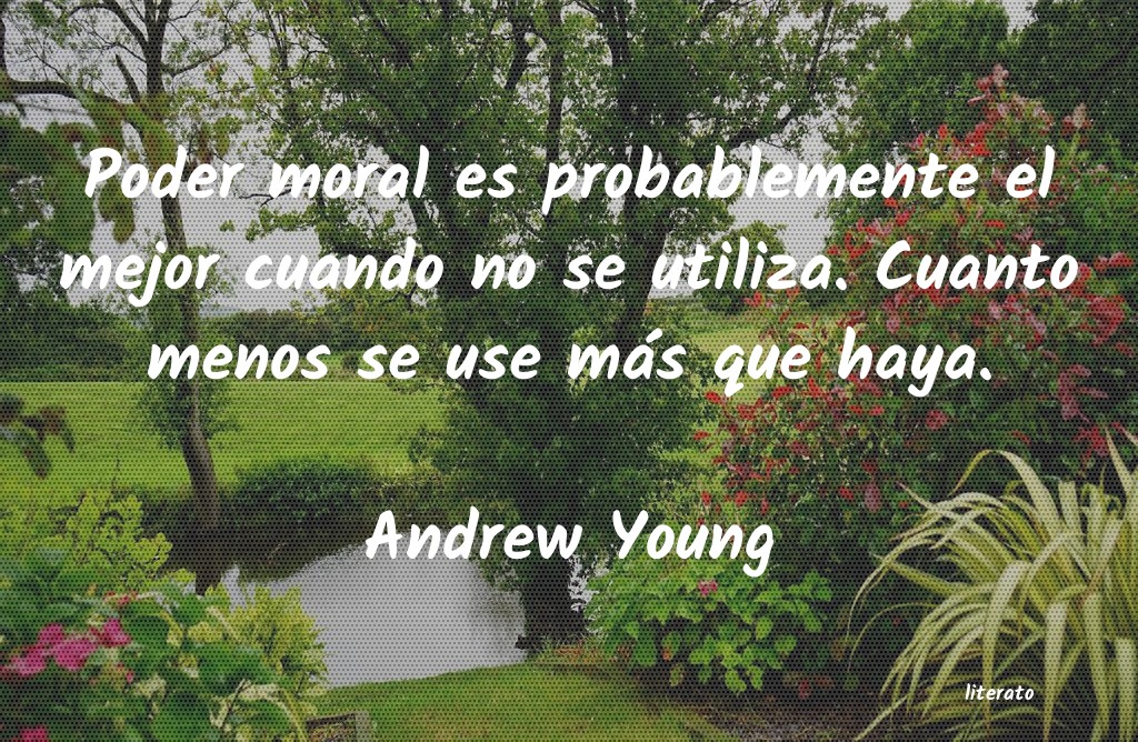 Frases de Andrew Young