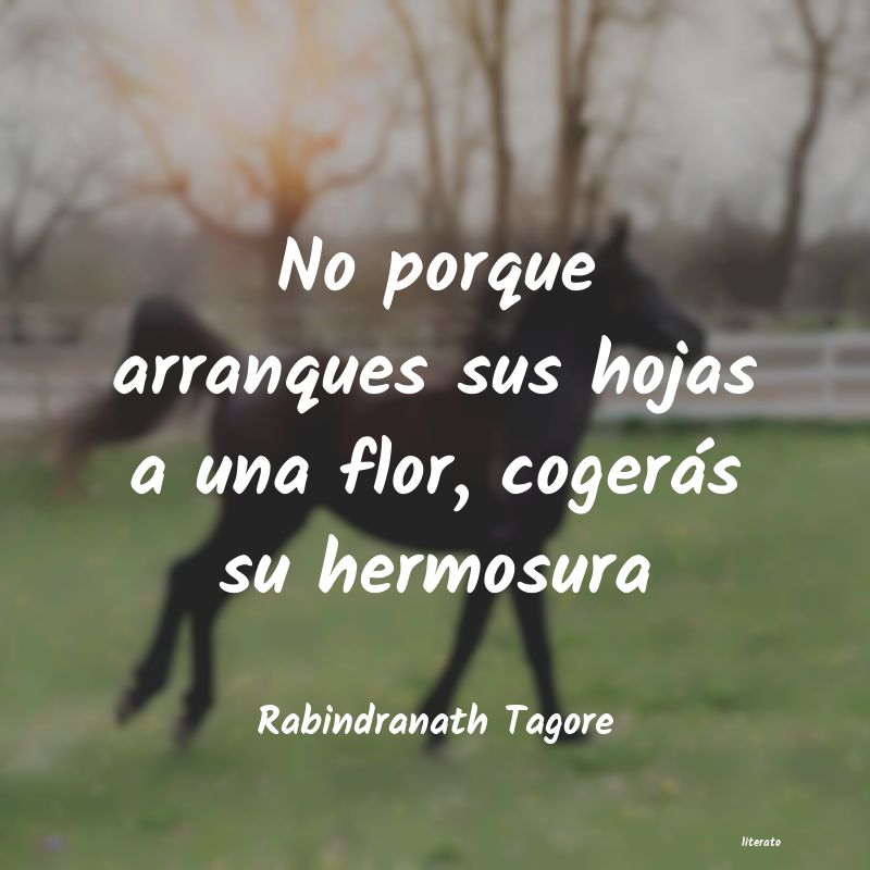 Frases de Rabindranath Tagore