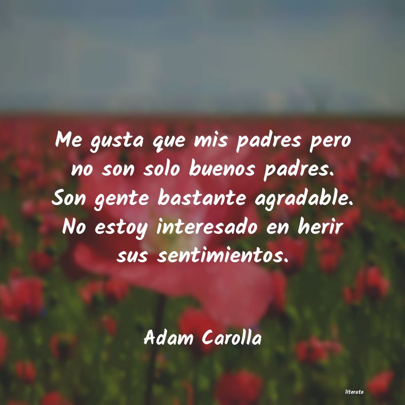 Frases de Adam Carolla