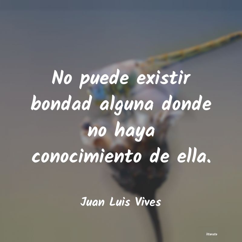frases de Juan Luis Vives