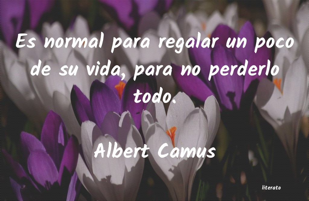 Frases de Albert Camus