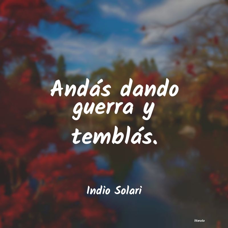 Frases de Indio Solari