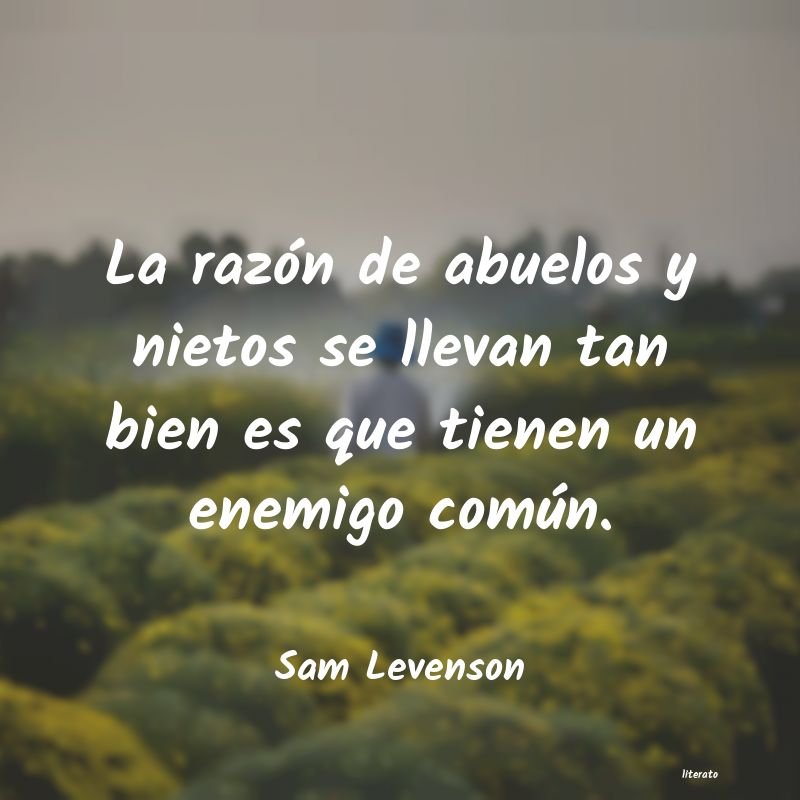 frases de Sam Levenson