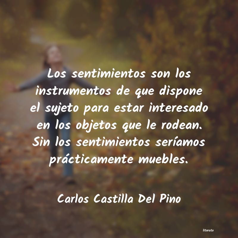 Frases de Carlos Castilla Del Pino