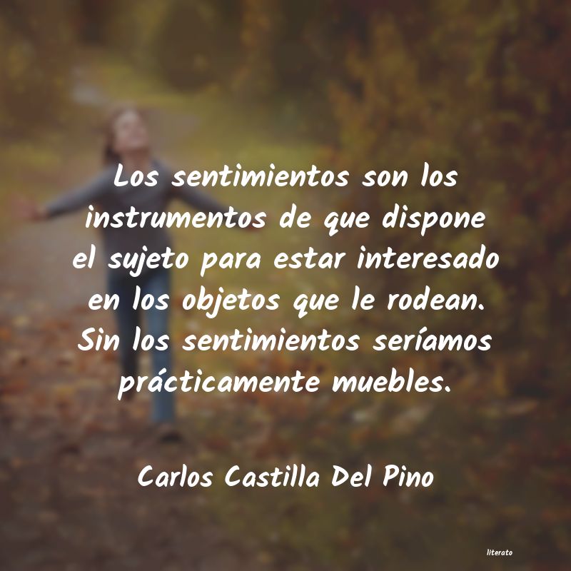frases de Carlos Castilla Del Pino