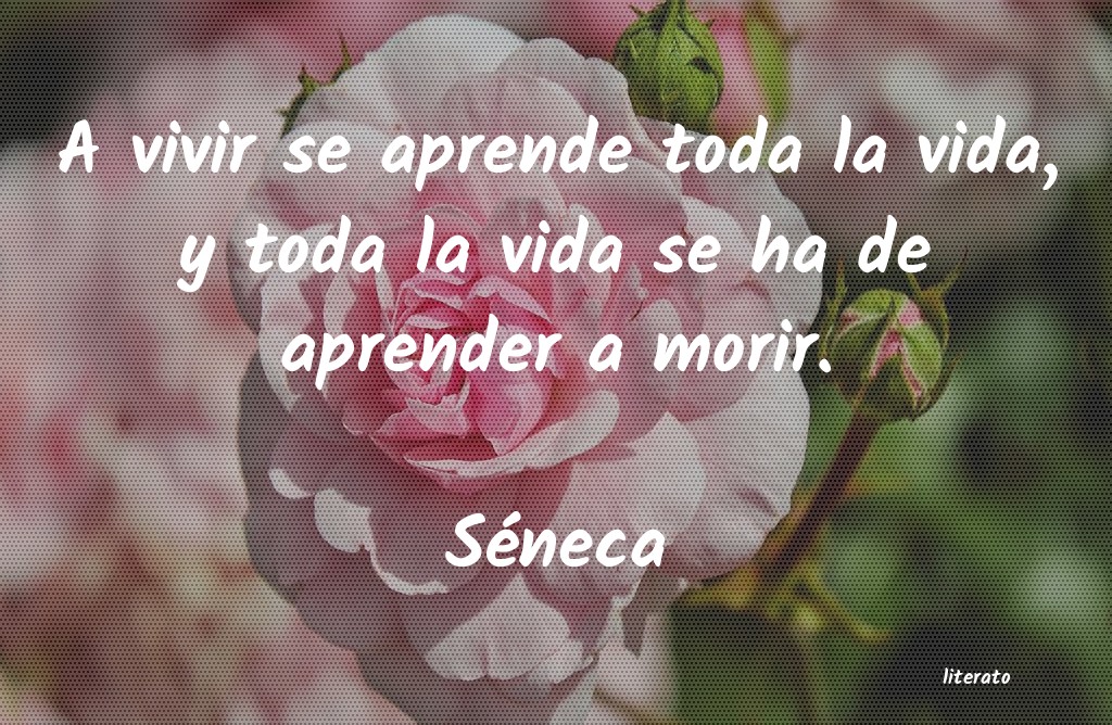 frases de Séneca