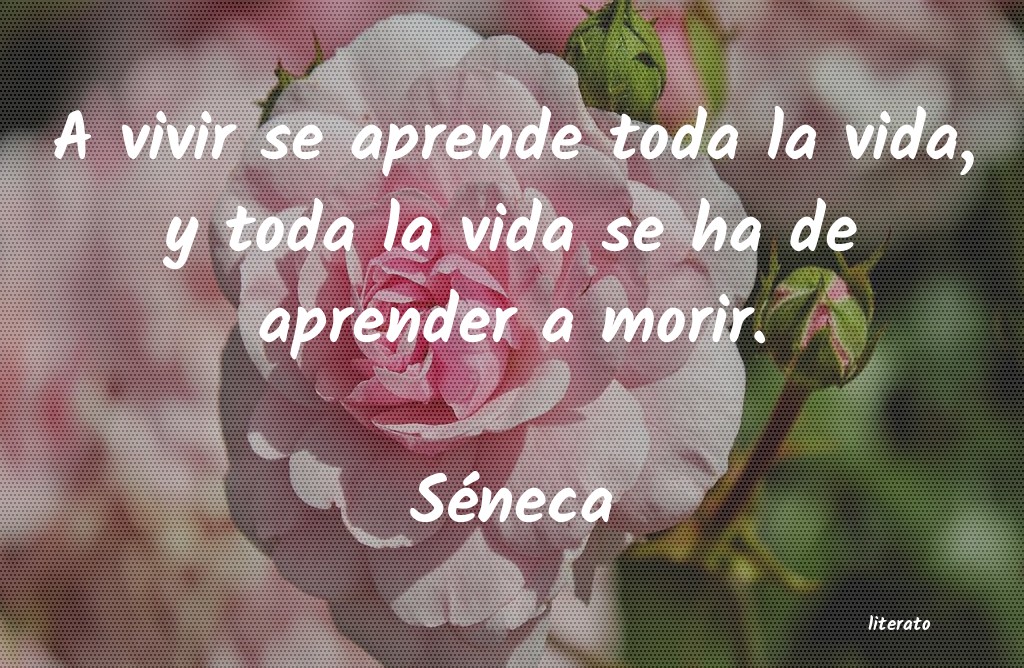 aprender richard bach