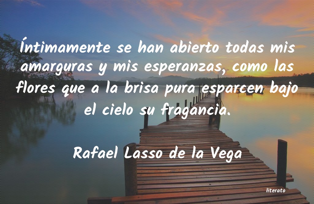 Frases de Rafael Lasso de la Vega