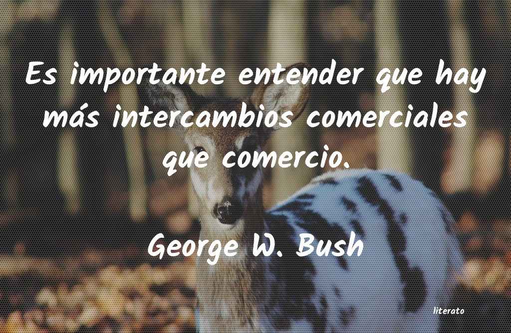frases de George W. Bush