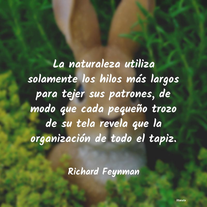 frases de Richard Feynman