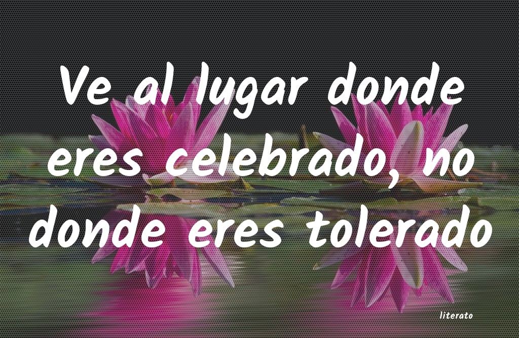 frases