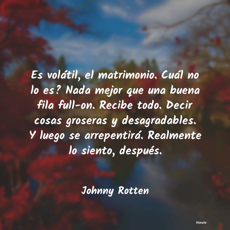 Frases de Johnny Rotten