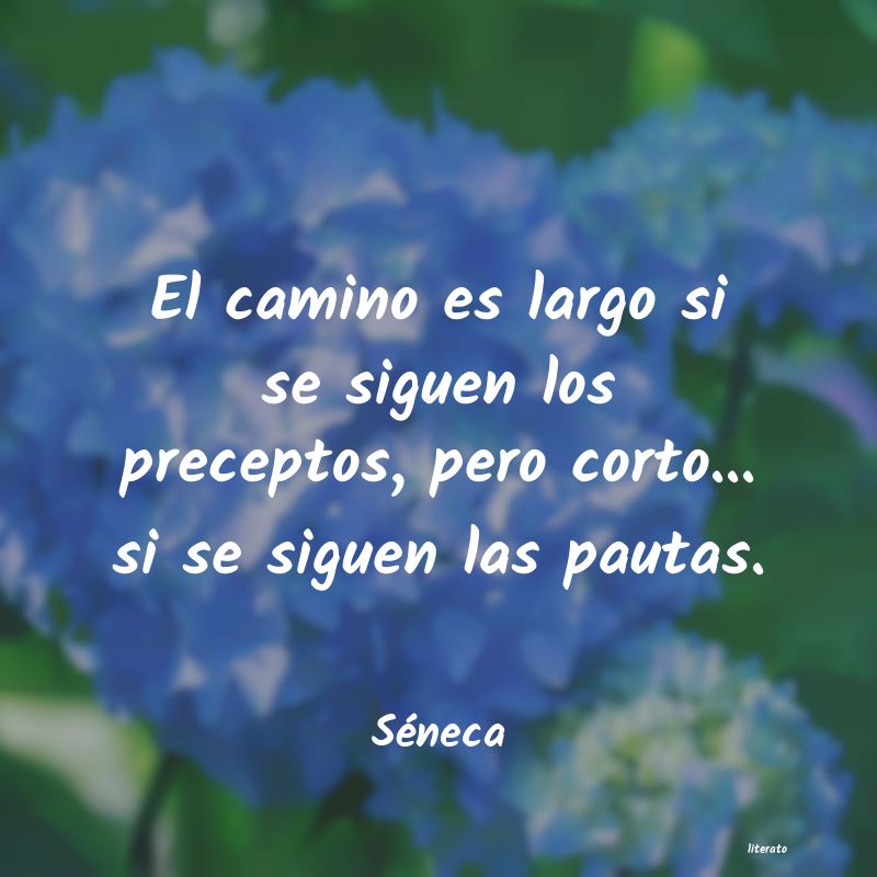 frases de Séneca