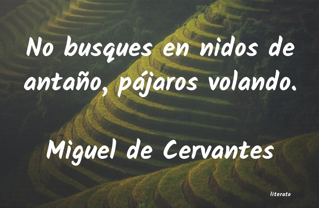 Frases de Miguel de Cervantes