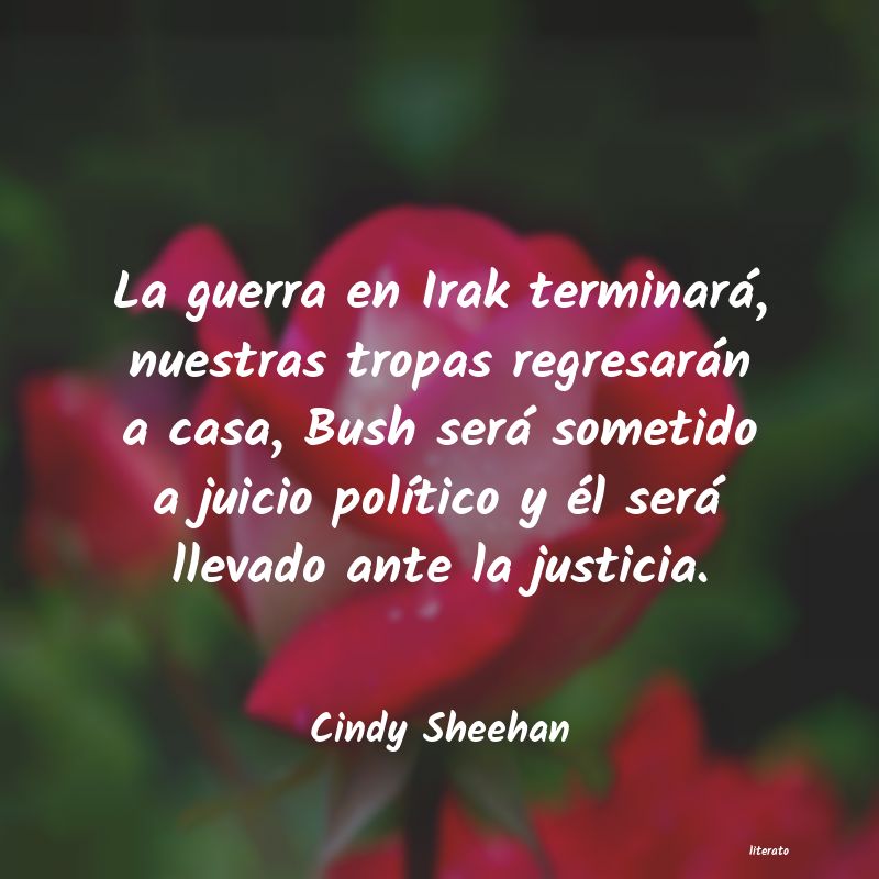 frases de Cindy Sheehan