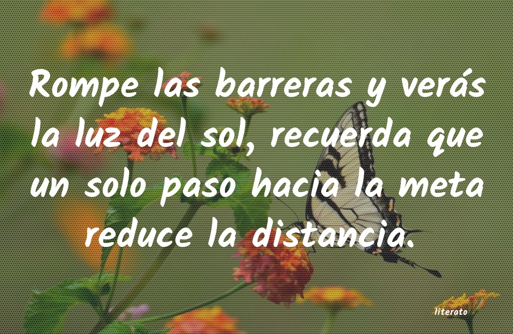 Rompe las barreras y verás la luz del s