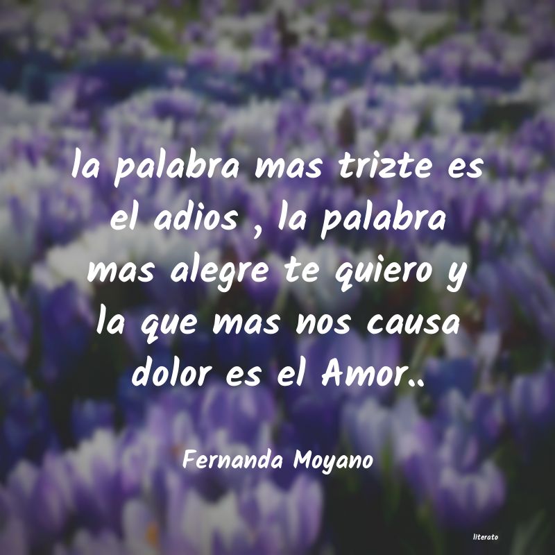 Frases de Fernanda Moyano