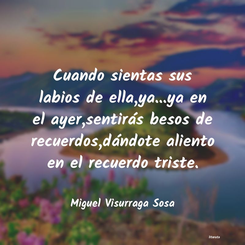 Frases de Miguel Visurraga Sosa