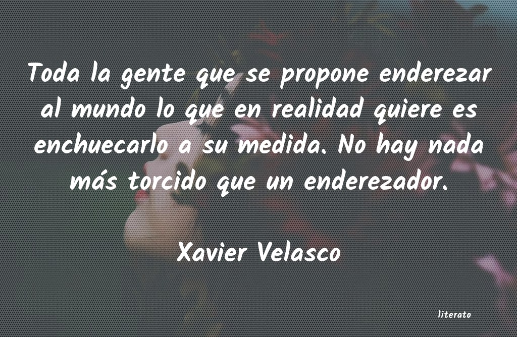 Frases de Xavier Velasco