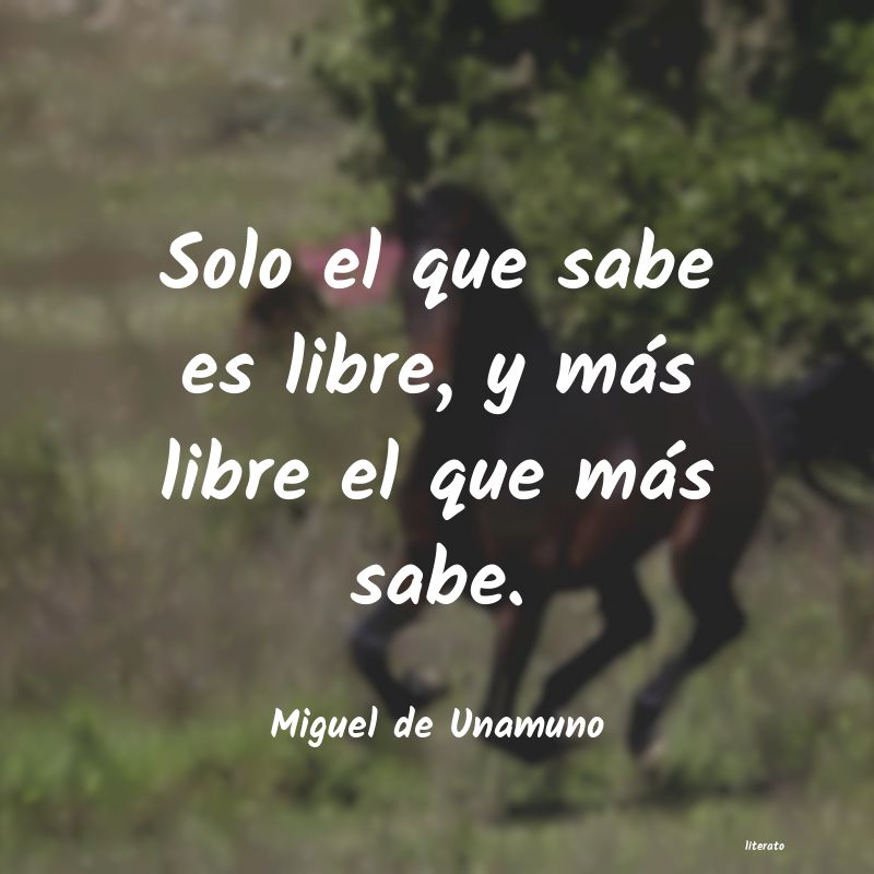 frases de Miguel de Unamuno