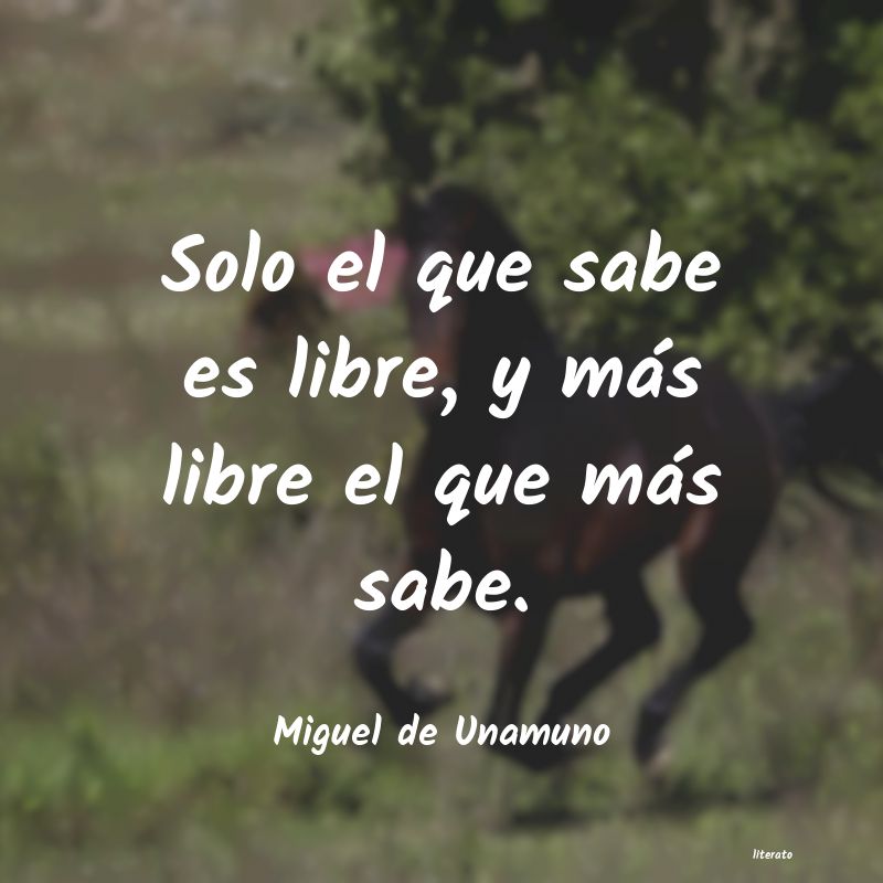 Frases de Miguel de Unamuno