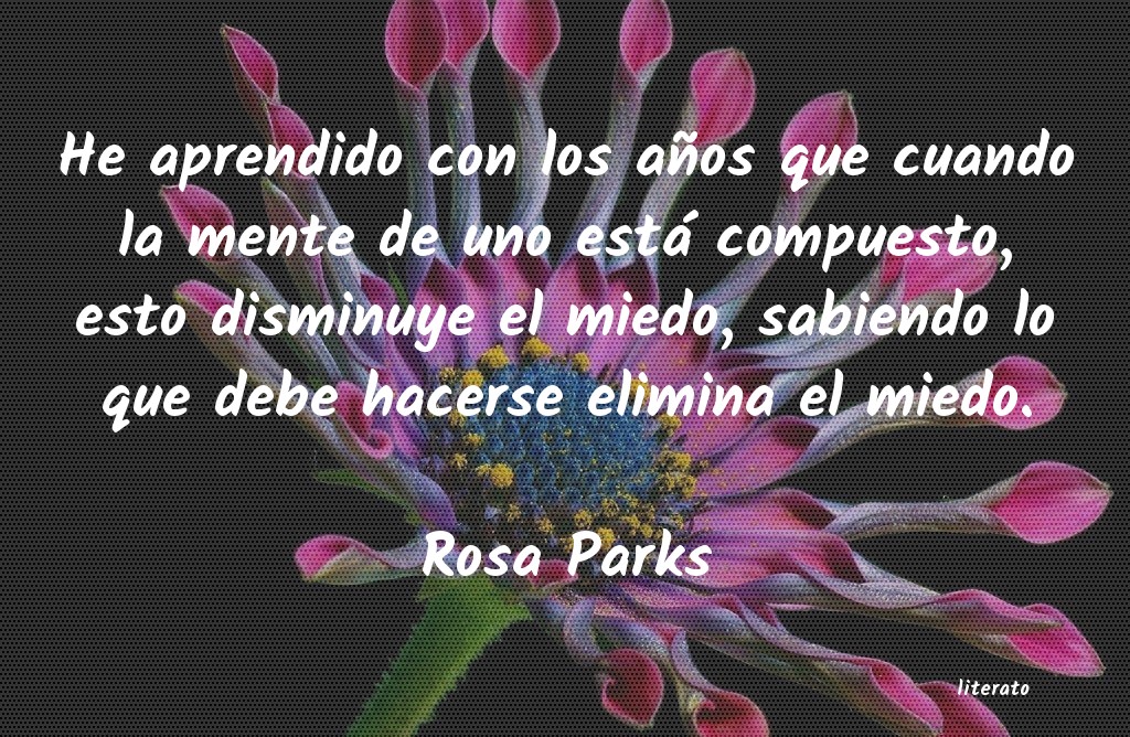 frases de Rosa Parks