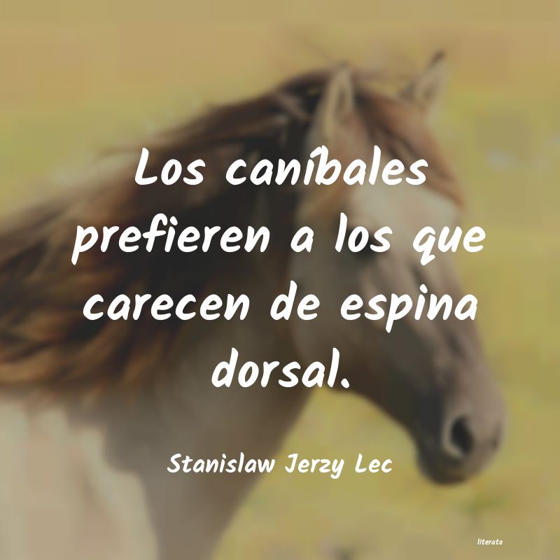 Frases de Stanislaw Jerzy Lec