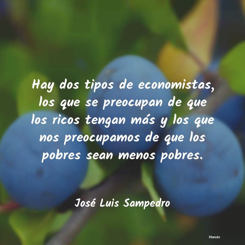 Frases de José Luis Sampedro