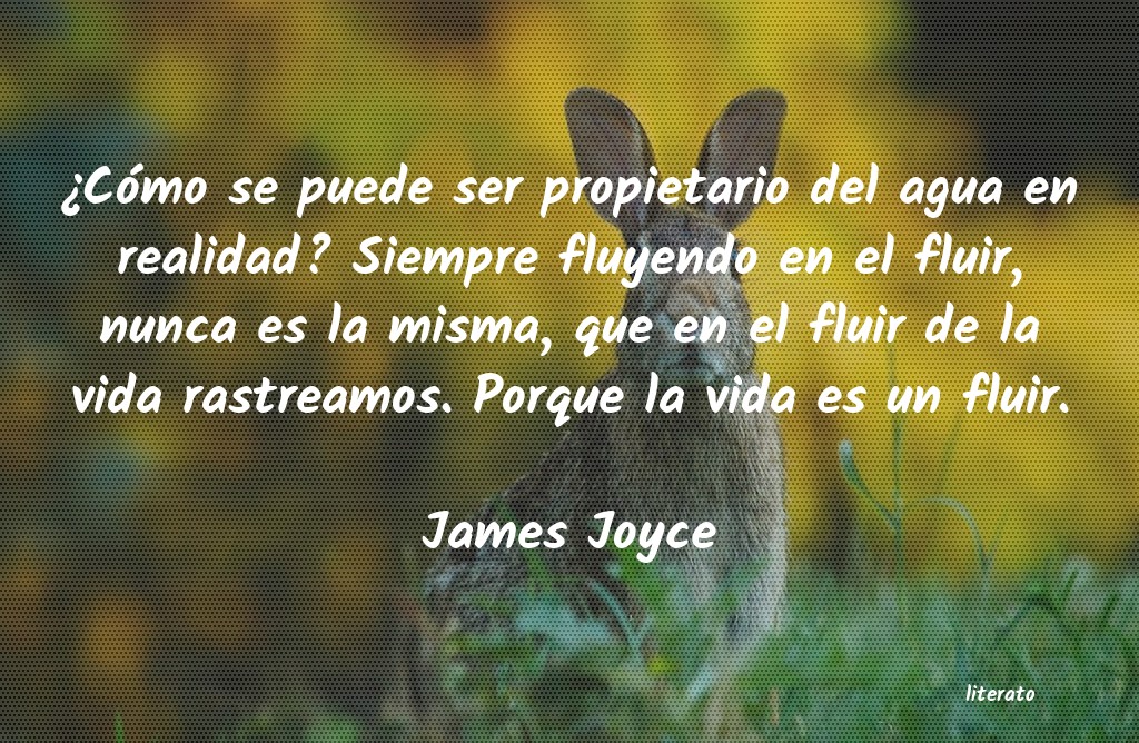 frases de James Joyce