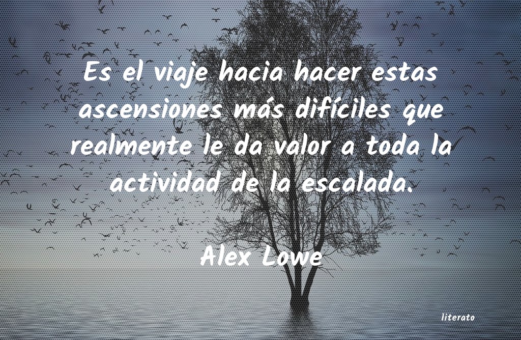 Frases de Alex Lowe