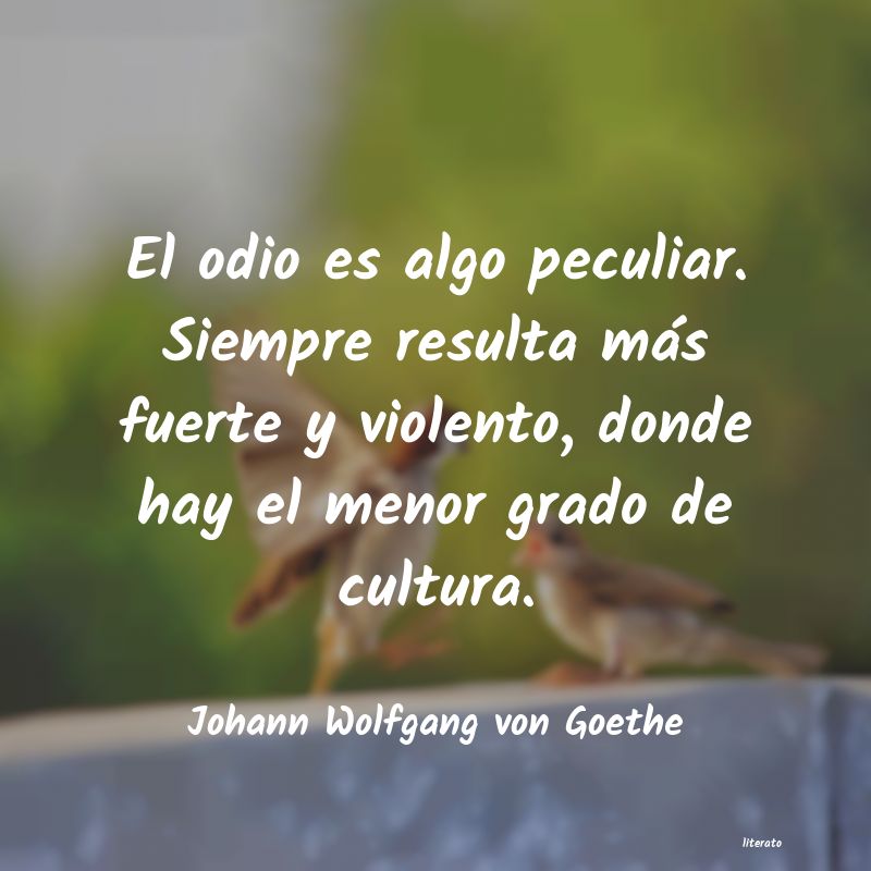 frases de Johann Wolfgang von Goethe
