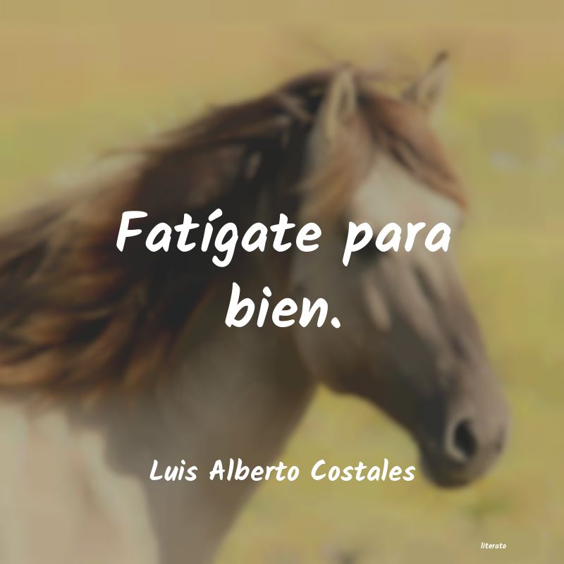 Frases de Luis Alberto Costales