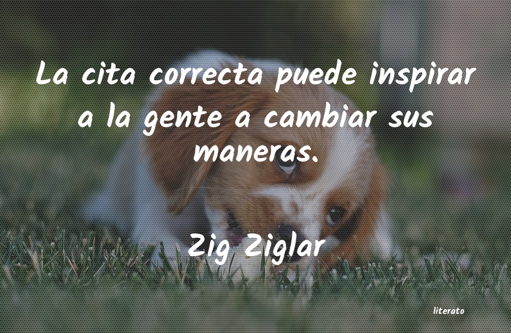 Frases de Zig Ziglar