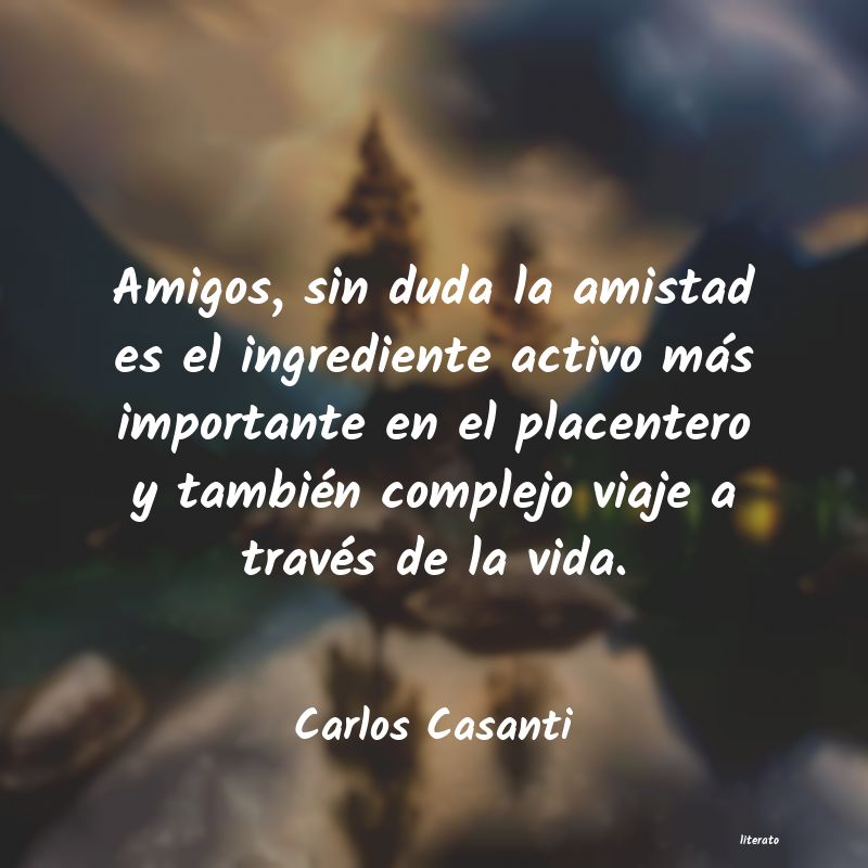 Frases de Carlos Casanti