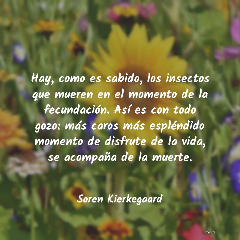 Frases de Soren Kierkegaard