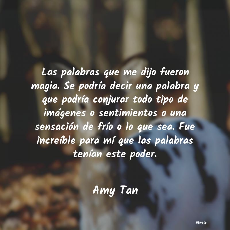 Frases de Amy Tan