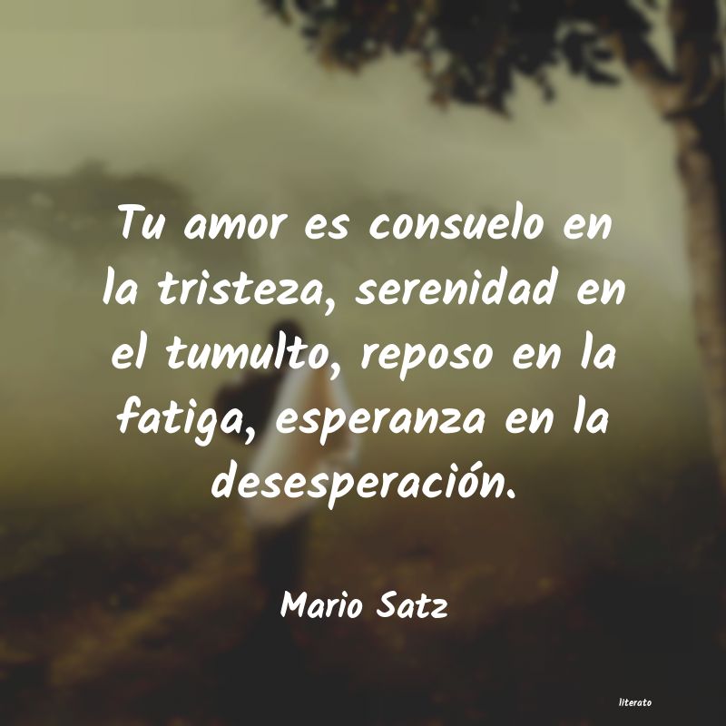 Frases de Mario Satz