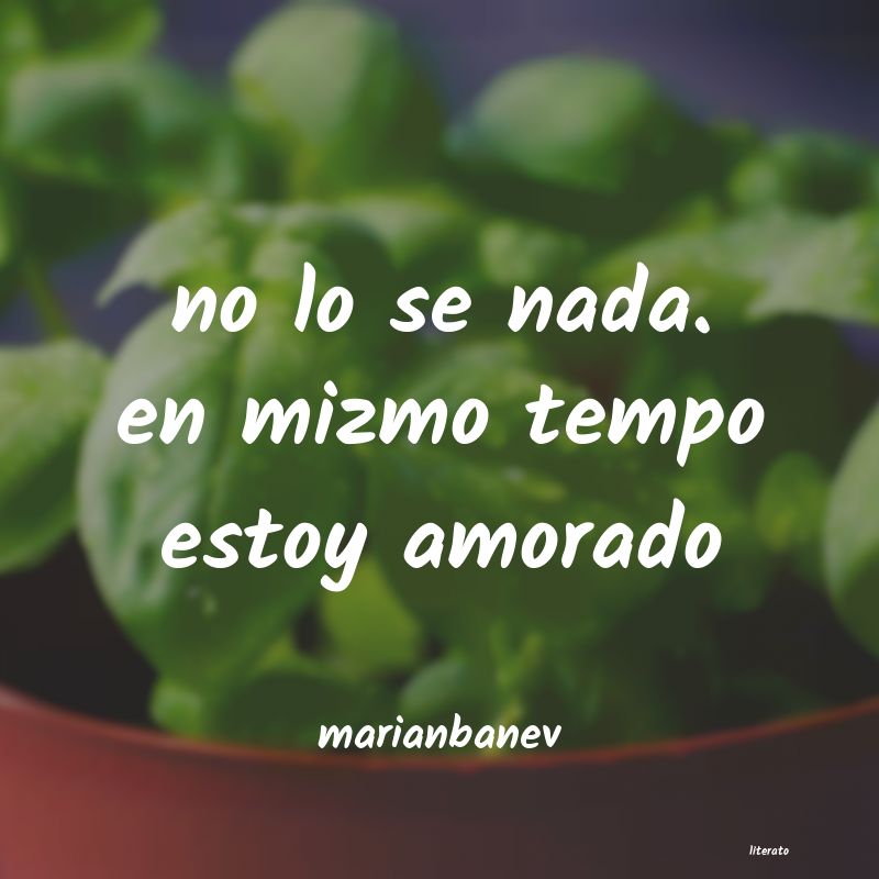 Frases de marianbanev