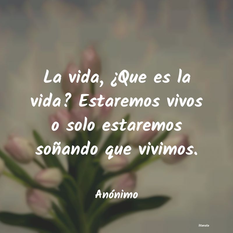 frases