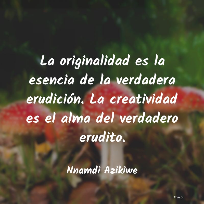 Frases de Nnamdi Azikiwe